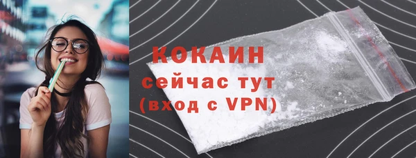 винт Абаза