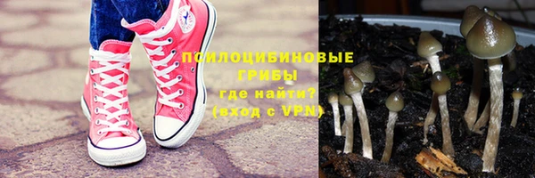 винт Абаза